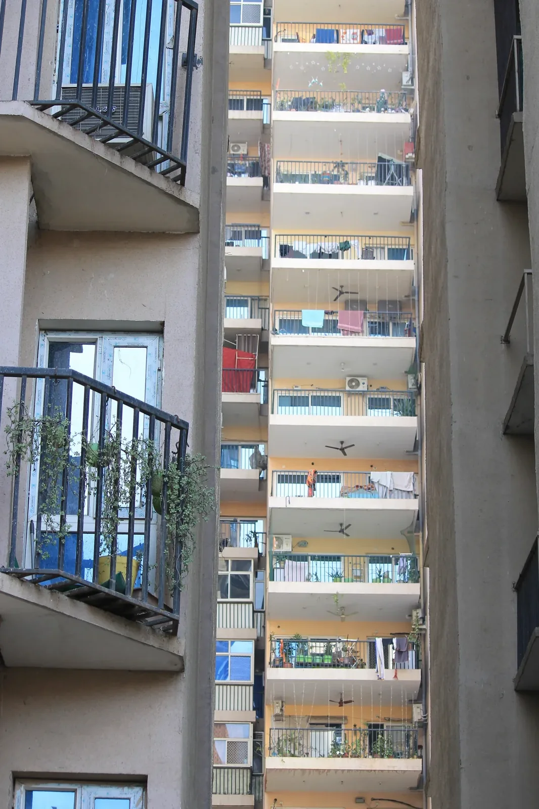 Nexia installed project detail